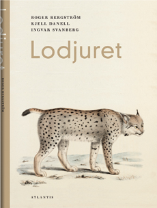 Lodjuret