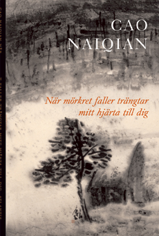 När mörkret faller