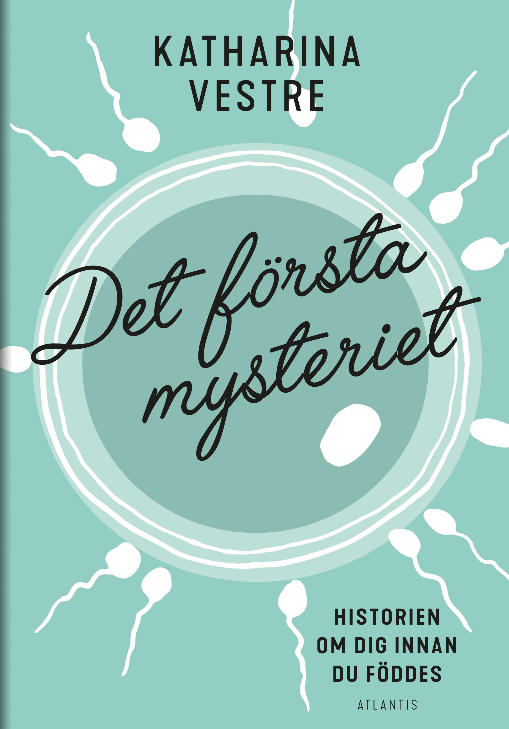 Det första mysteriet